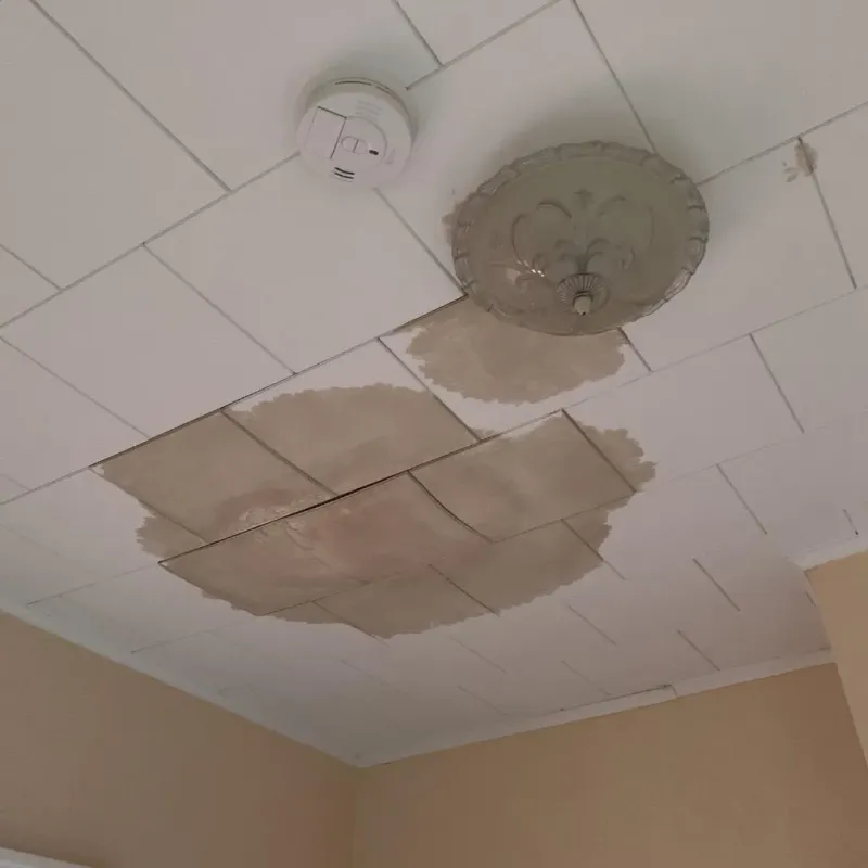 Ceiling Water Damage Repair in Jackson County, MO