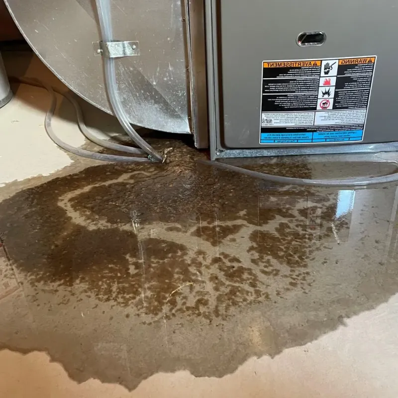 Pipe Burst and Leak Restoration in Jackson County, MO